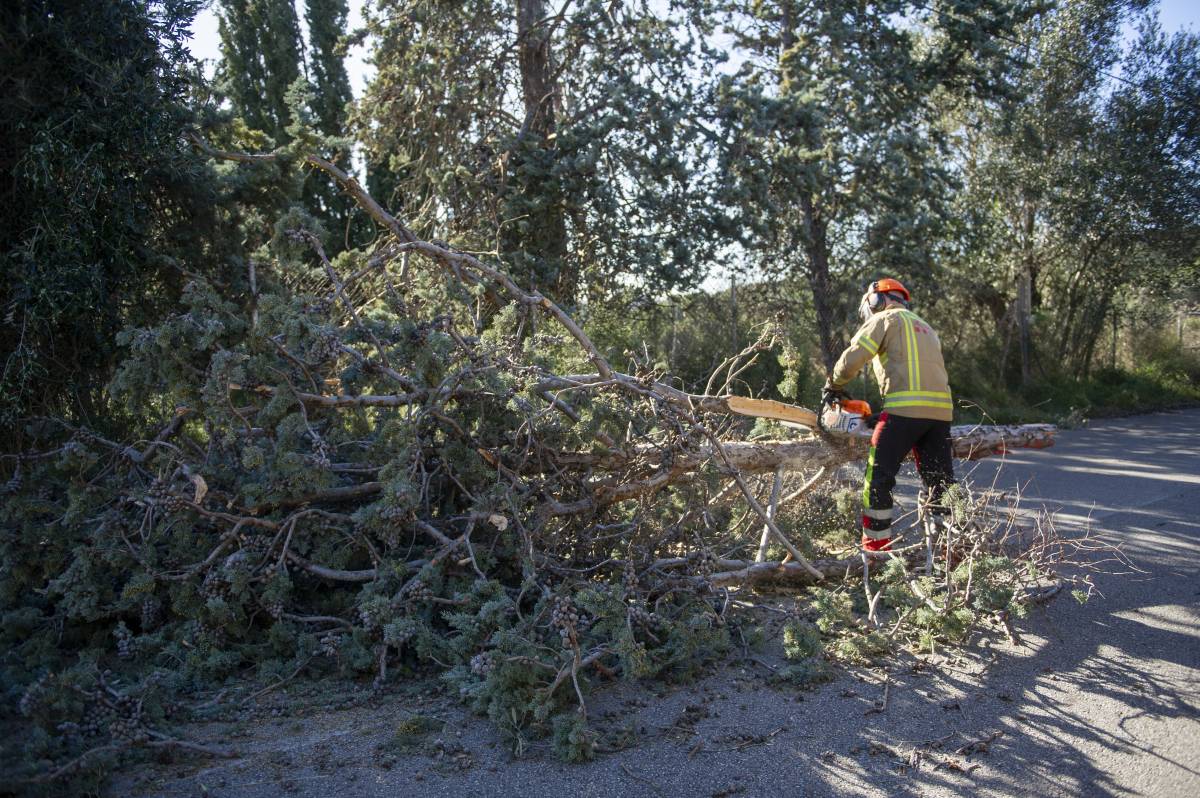 74 trucades al 112 per afectacions pel vent