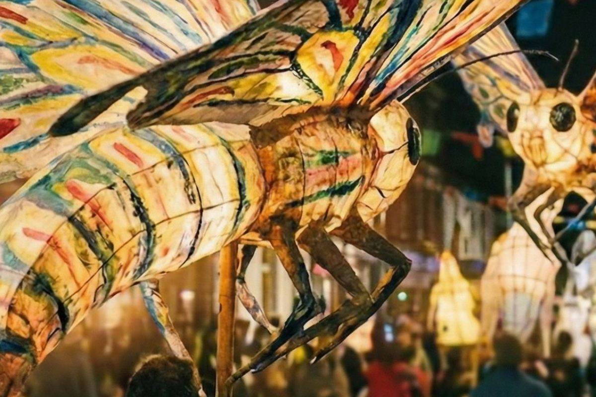 Què fer amb nens i nenes aquest cap de setmana: activitats del 21 i 22 de febrer de 2026