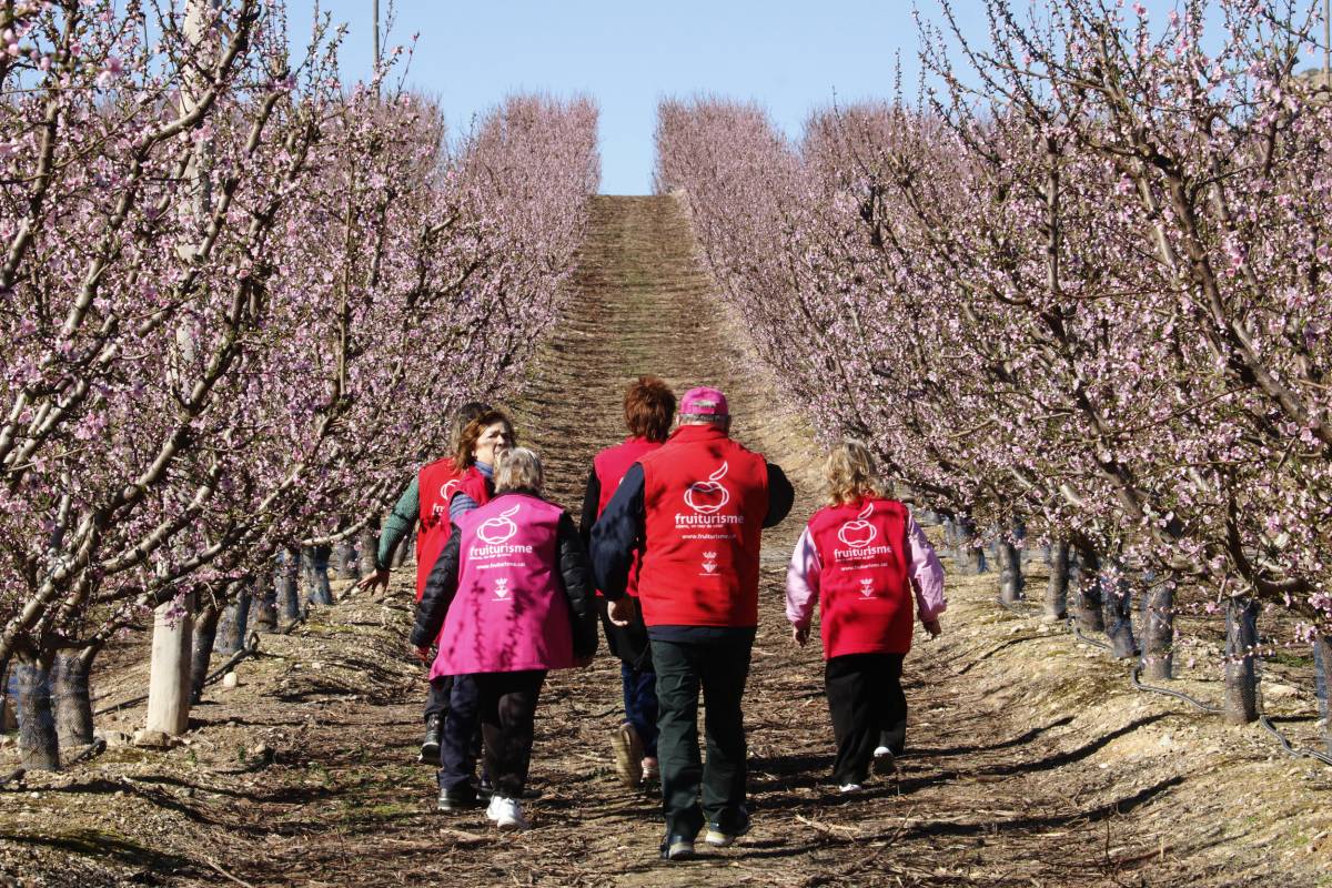 Aitona allarga la campanya de camps florits