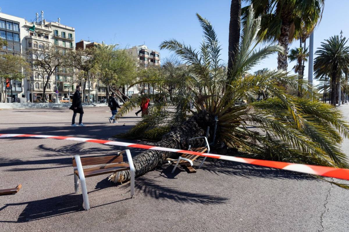 La borrasca Pedro ja és aquí: com afectarà Catalunya?