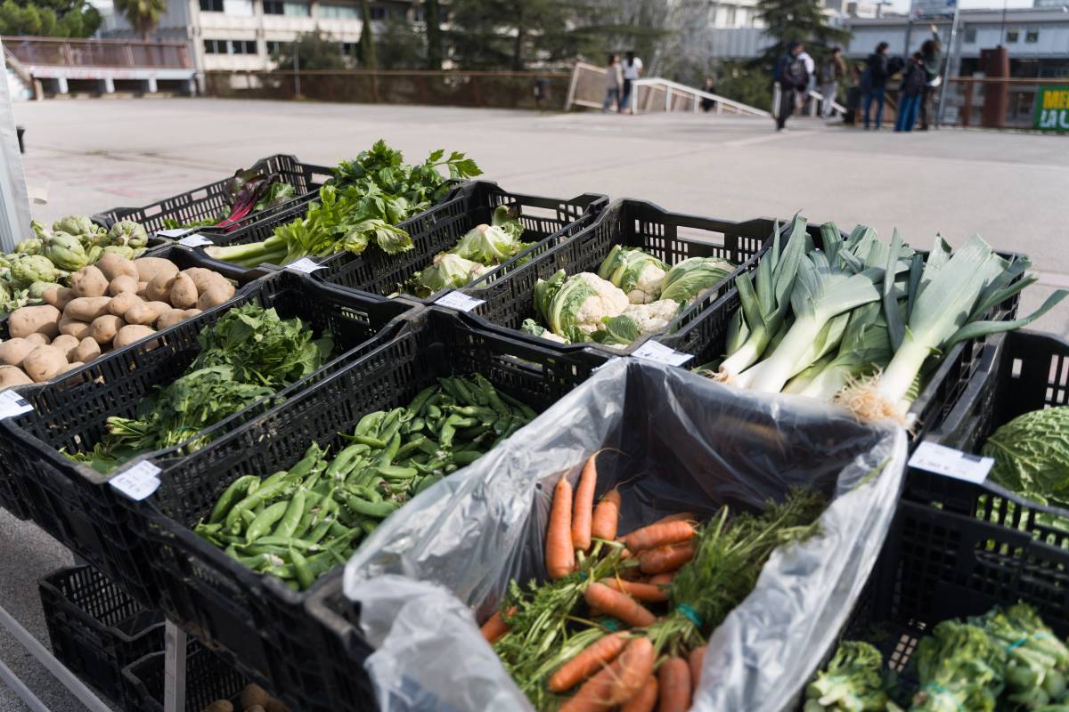 Mercat de pagès setmanal a la UAB - David Chao Mercat de pagès setmanal a la UAB