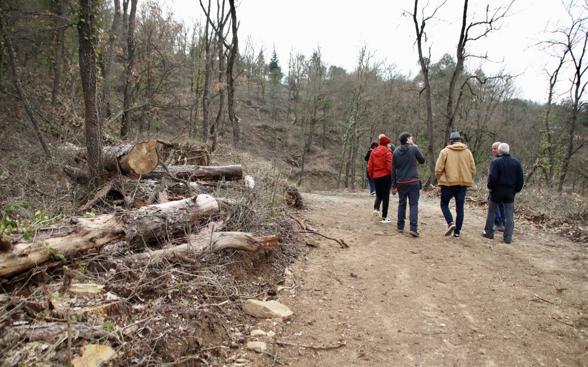 La Diputació de Barcelona inverteix 70.400 euros a la Plana de Vic per prevenir incendis i fer els boscos més resilents