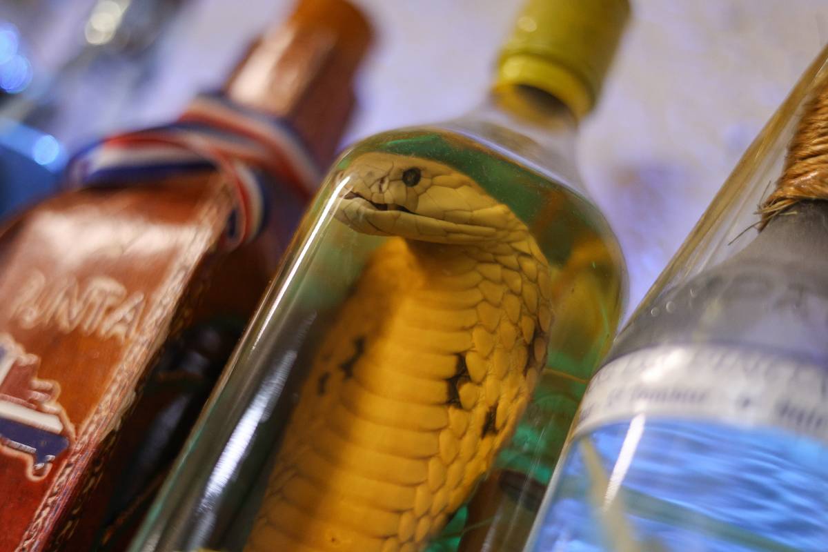 Licors del sabadellenc Josep Querol, sommelier per afició