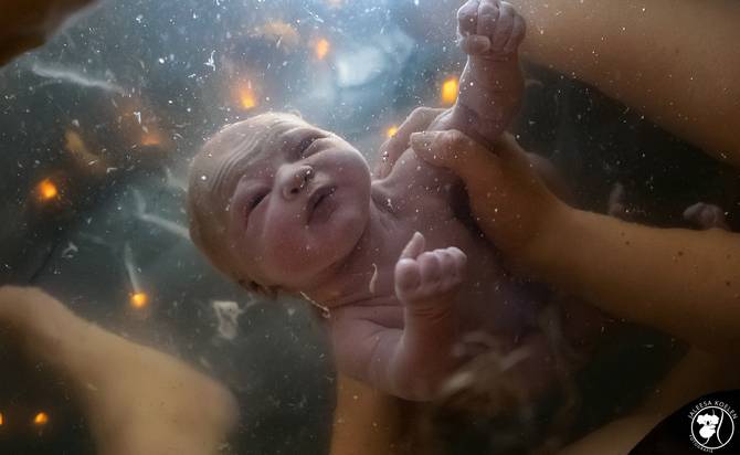 Les millors fotos de parts de l'any