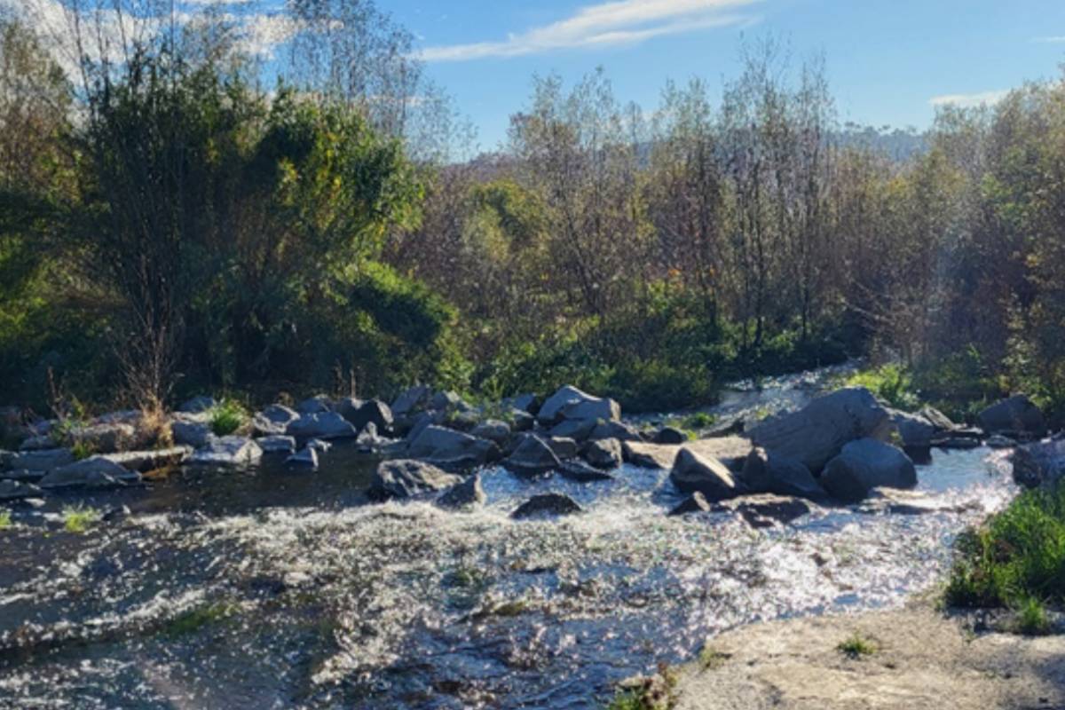 L'ACA impulsa un projecte per restaurar un tram del riu Tordera