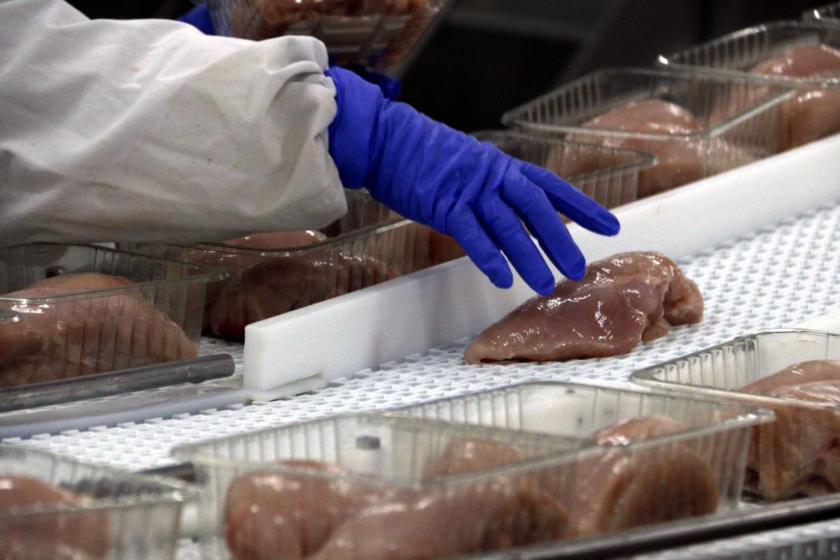 Catalunya bat rècord en exportacions agroalimentàries tot i les pèrdudes de la pesta porcina