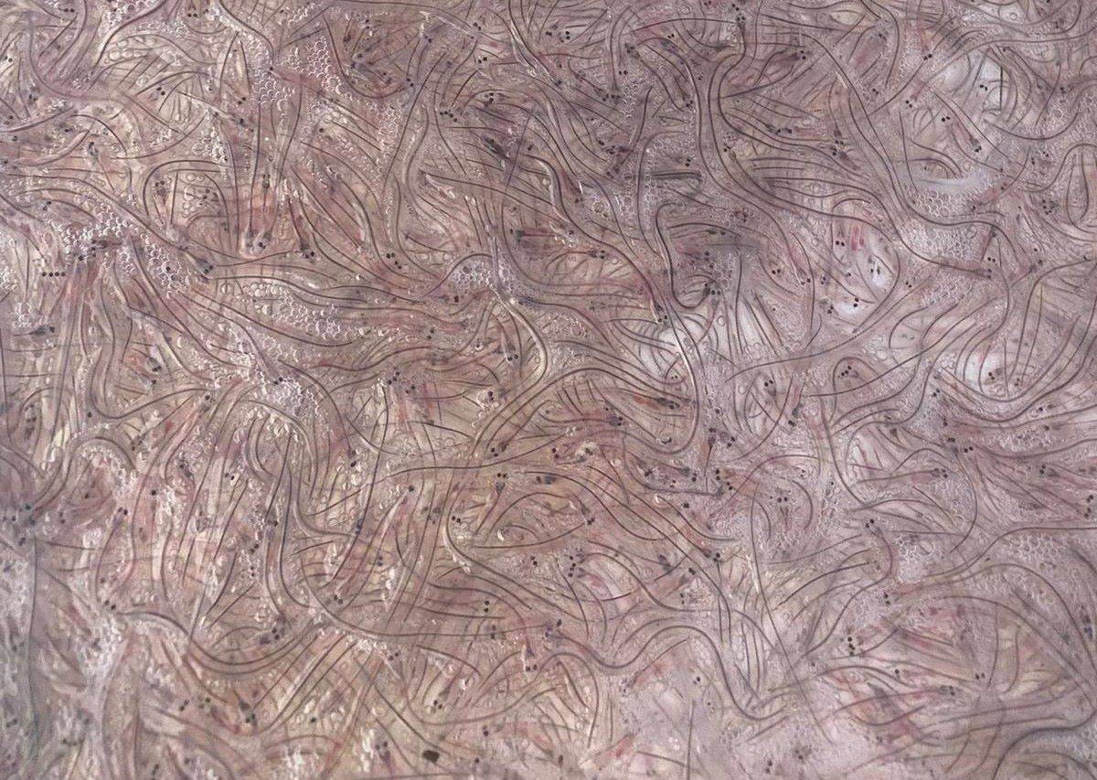 Detall d`angules. - Cedida Detall d`angules.