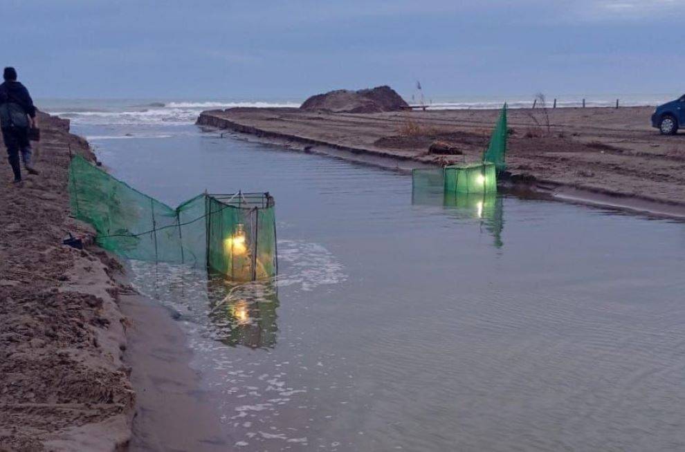 Bussons de pesca de l`angula, a la nit. - Cedida Bussons de pesca de l`angula, a la nit.