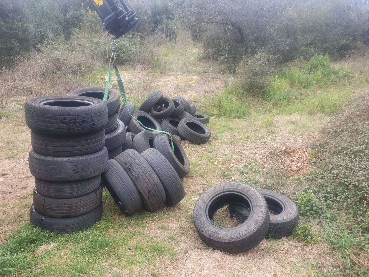 Abocaments de deixalles als boscos de Sentmenat