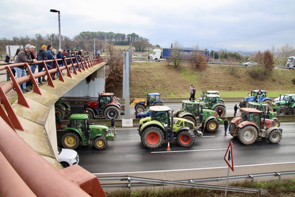 La fauna salvatge i les epidèmies monopolitzen les eleccions agràries