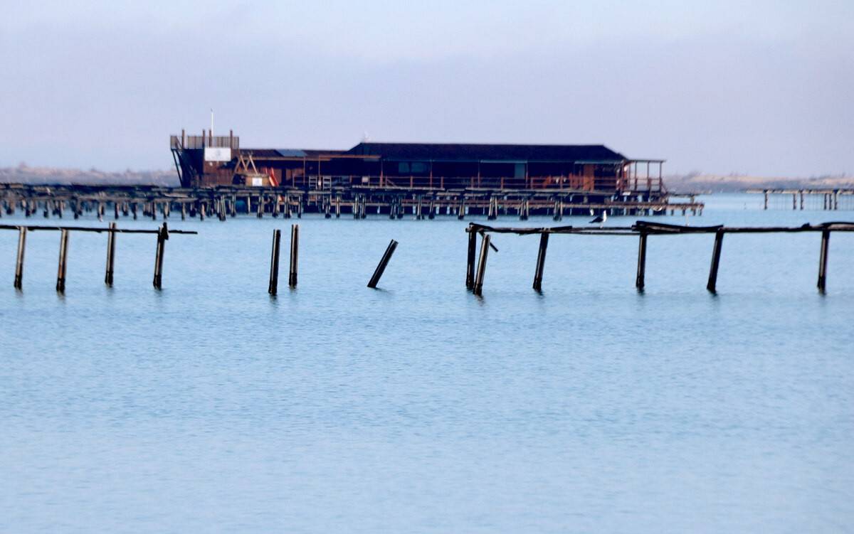 El fort vent i l'onatge van deixar 10.000 bigues de les muscleres malmeses i 2,5 milions en danys al Fangar