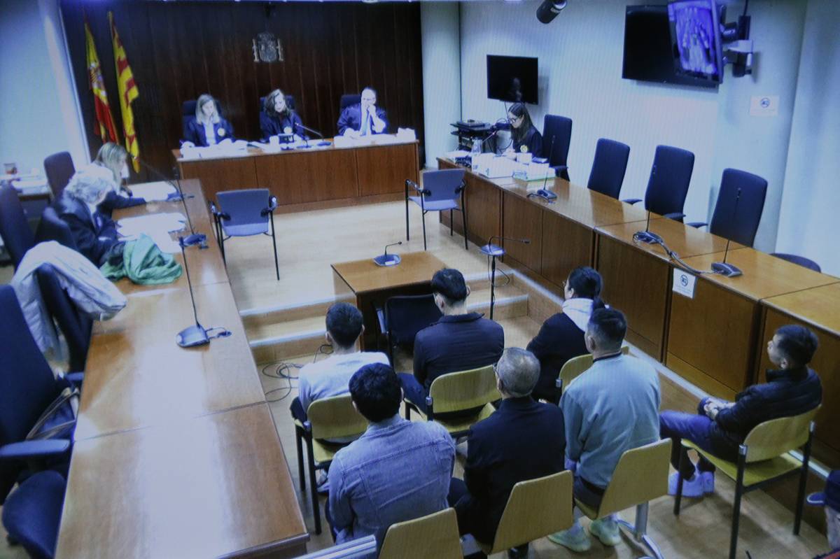 Jutjaran a Lleida una xarxa que traficava amb angules vives