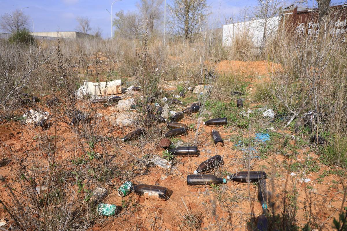Deixalles en un solar de Can Roqueta, aquest dimecres - V. CASTILLO Deixalles en un solar de Can Roqueta, aquest dimecres