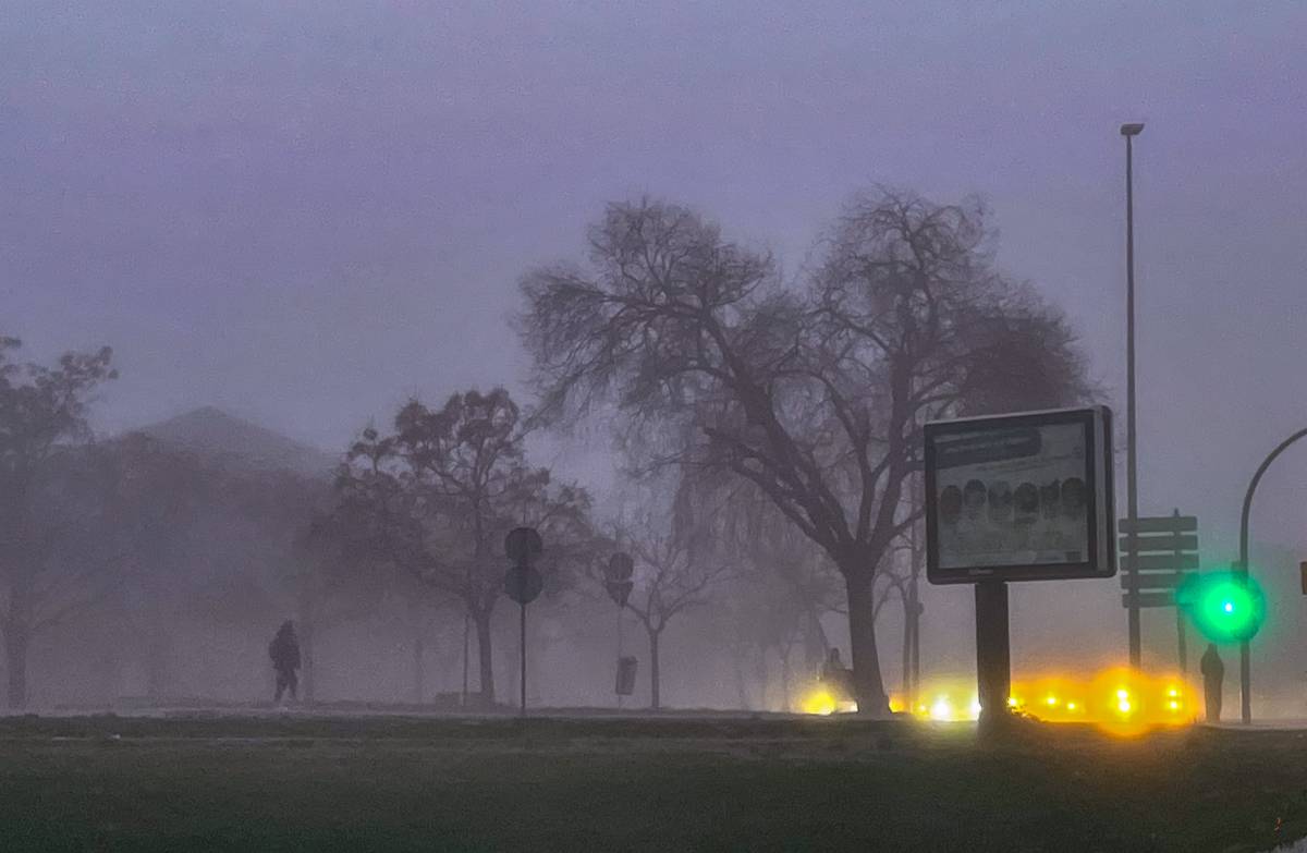 FOTOS | Sabadell es lleva amb una densa boira cobrint els carrers