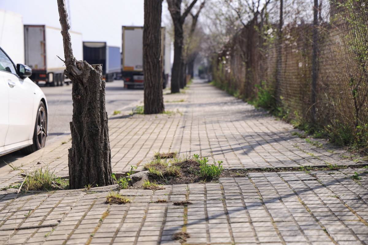 En Comú Podem exigeix al Govern presentar 
