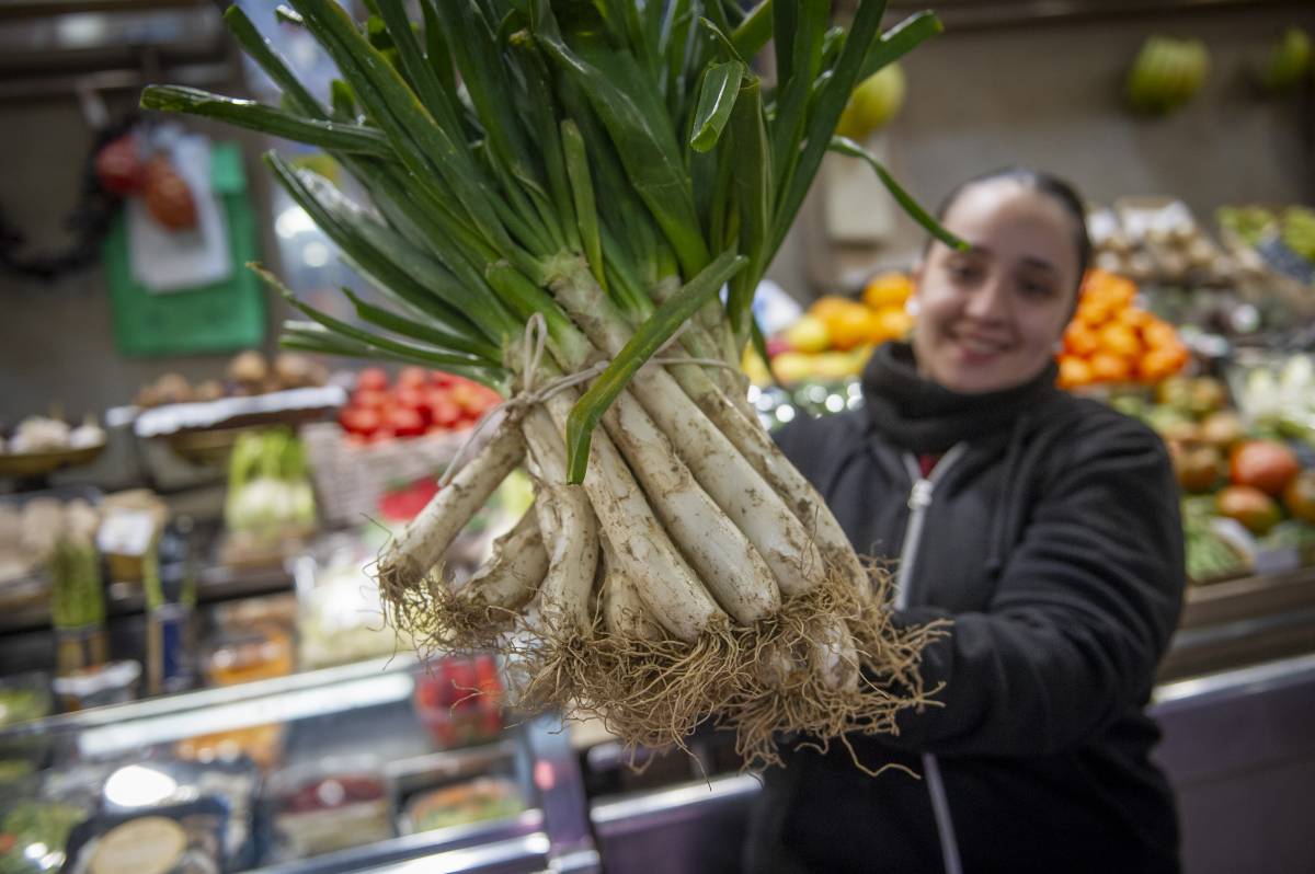 Abans de ser calçots, a Terrassa hi havia ceballots