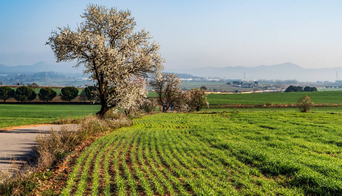 El temps de divendres: el sol es queda... però venen més núvols