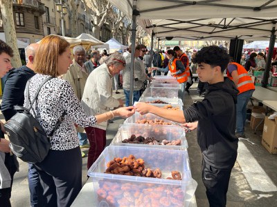 La Fira de Sant Josep se celebrarà el cap de setmana del 28 i 29 de març amb la tradicional Fira del Brunyol de l’Empordà i la Cursa Urbana. - La Fira de Sant Josep se celebrarà el cap de setmana del 28 i 29 de març amb la tradicional Fira del Brunyol de l’Empordà i la Cursa Urbana.
