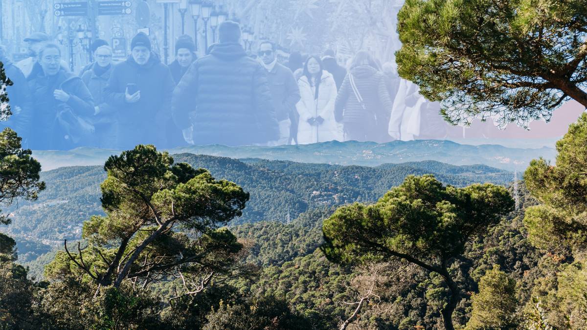Catalunya no coneix els seus boscos: més del 60% creu que estan en retrocés