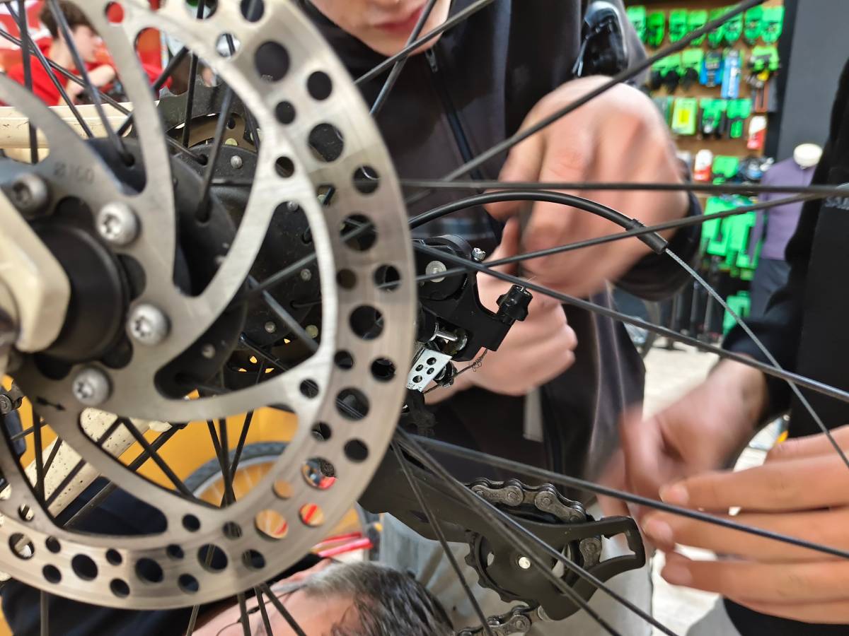 Projecte Samara natura  - 