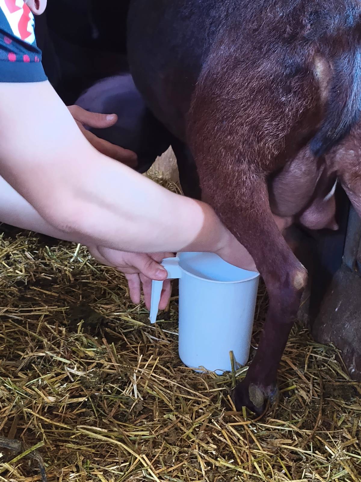 Projecte Samara natura  - 