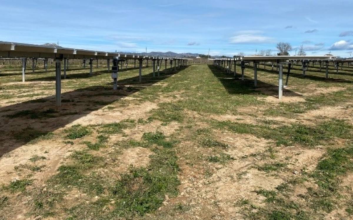 Una nova planta fotovoltaica millorarà l’eficiència energètica del regadiu de Benissanet