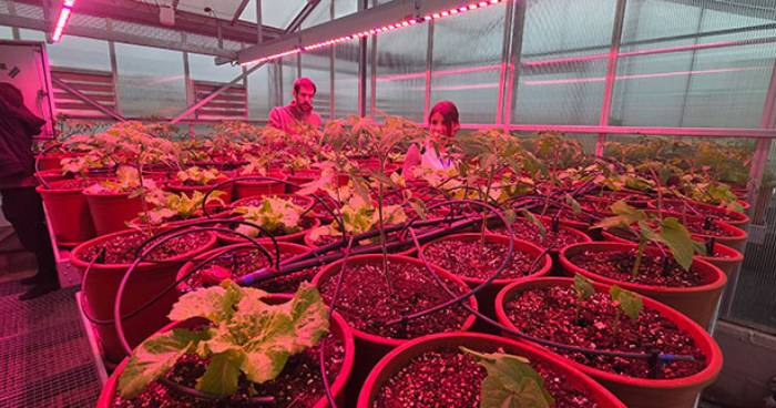 El talent de Terrassa revoluciona el sector agrícola: la UPC presenta 13 solucions per convertir residus en riquesa