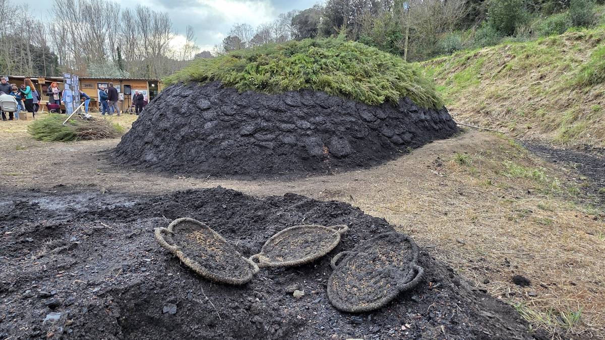 Carbó artesanal: el Montseny recorda un ofici de tota la vida