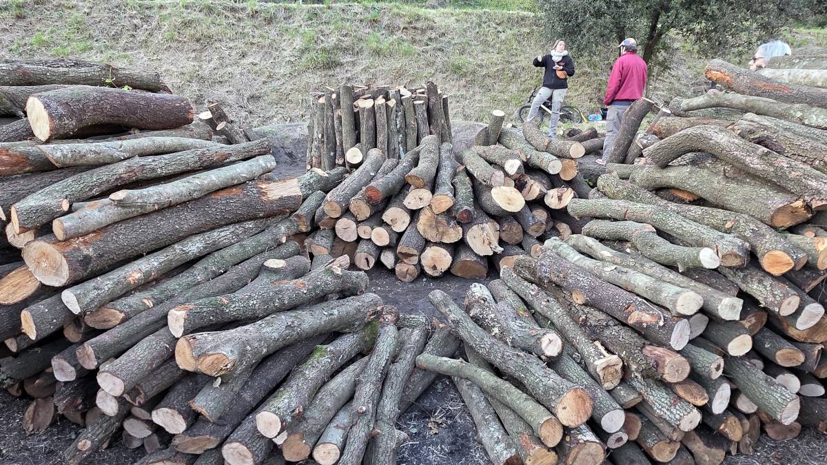 Jordi Rodoreda Rosàs