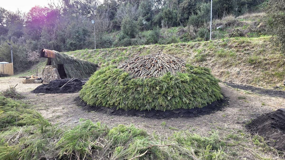 Jordi Rodoreda Rosàs
