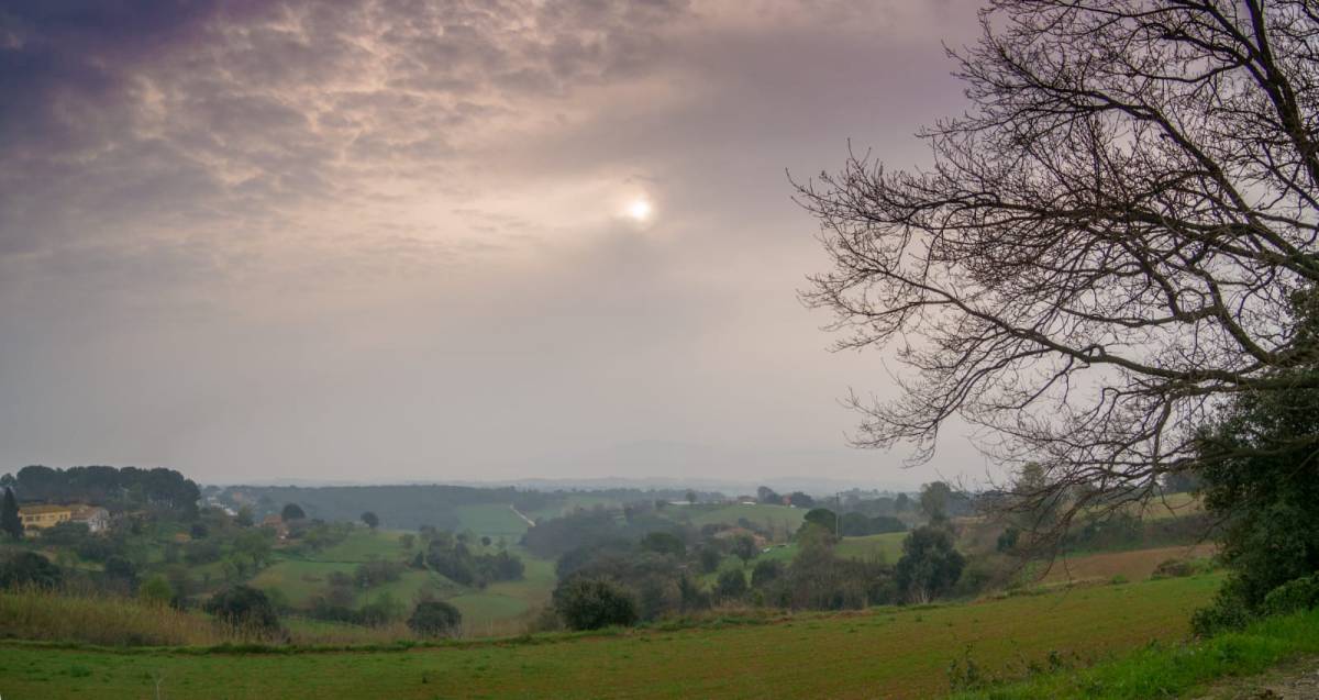 Mal dia per estendre roba: ruixats i pols sahariana