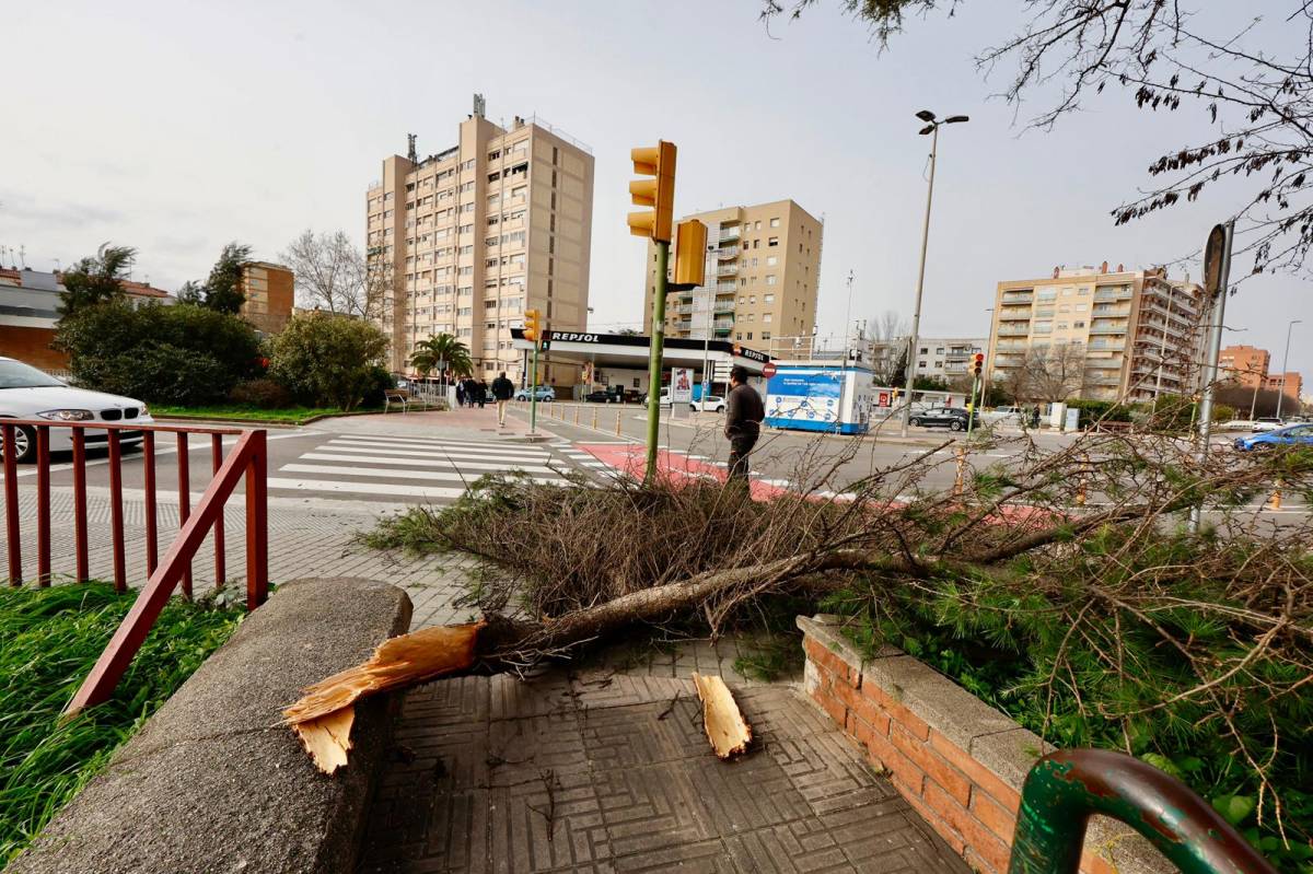 Nou episodi d'incidències relacionades amb les ventades a Sabadell