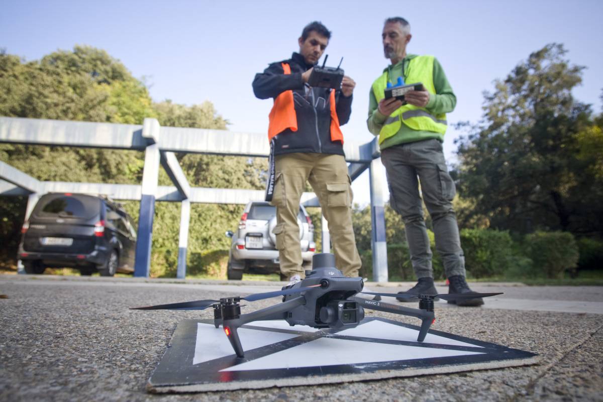 Terrassa neutralitza 70 nius de vespa asiàtica amb l'ús de drons en els darrers cinc anys