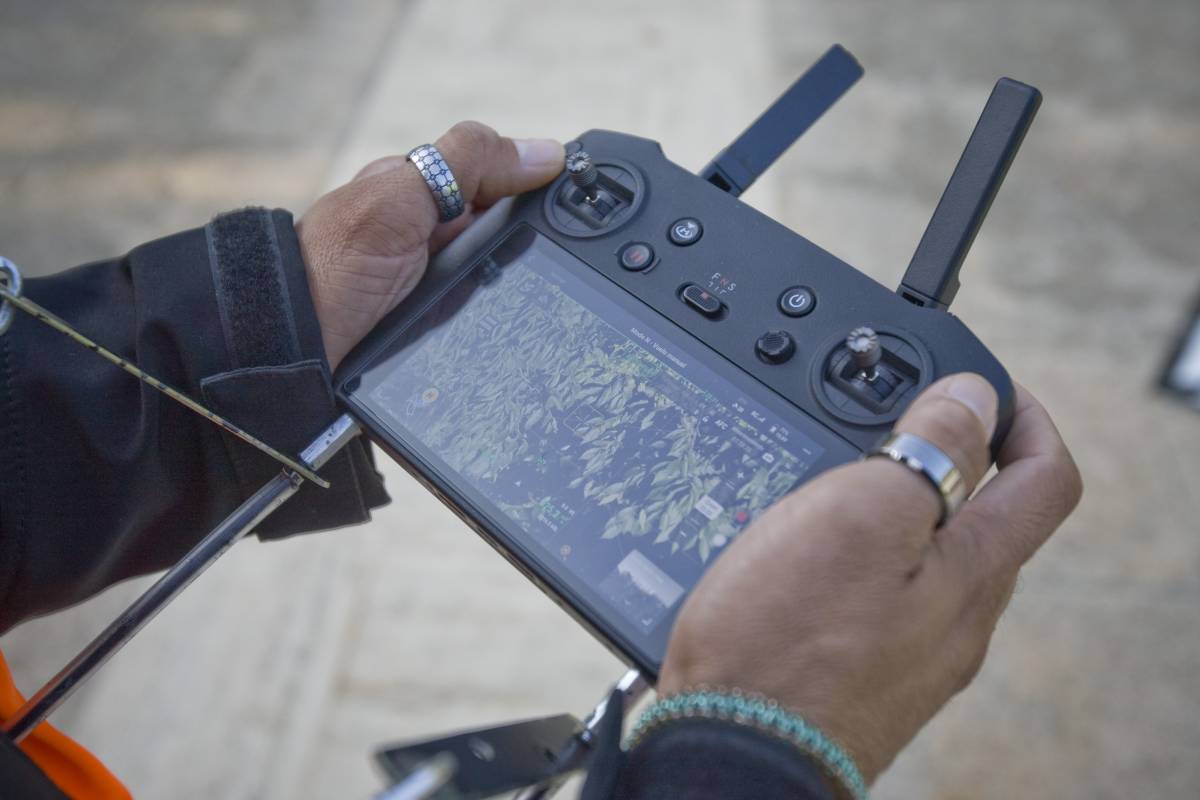 Terrassa neutralitza 70 nius de vespa asiàtica amb l`ús de drons en els darrers cinc anys - Nebridi Aróztegui Terrassa neutralitza 70 nius de vespa asiàtica amb l`ús de drons en els darrers cinc anys