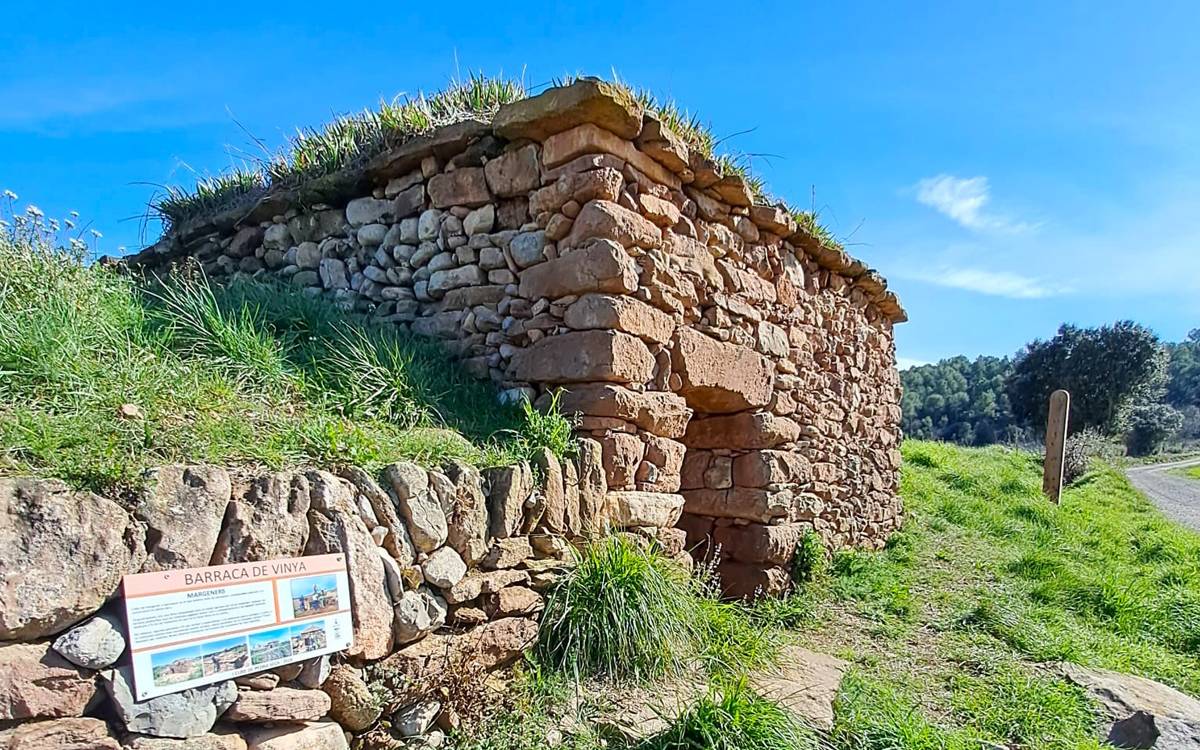 Una caminada de marxa nòrdica recorrerà diumenge els entorns naturals d'Artés