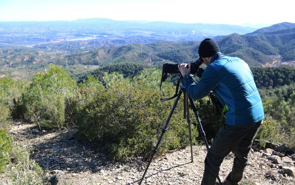 Iniciats els estudis ambientals per ajustar el disseny final de la hidroelèctrica reversible de la Fatarella i Flix