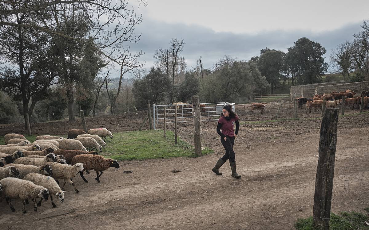 Alba Garet, pastora de Lluçà.