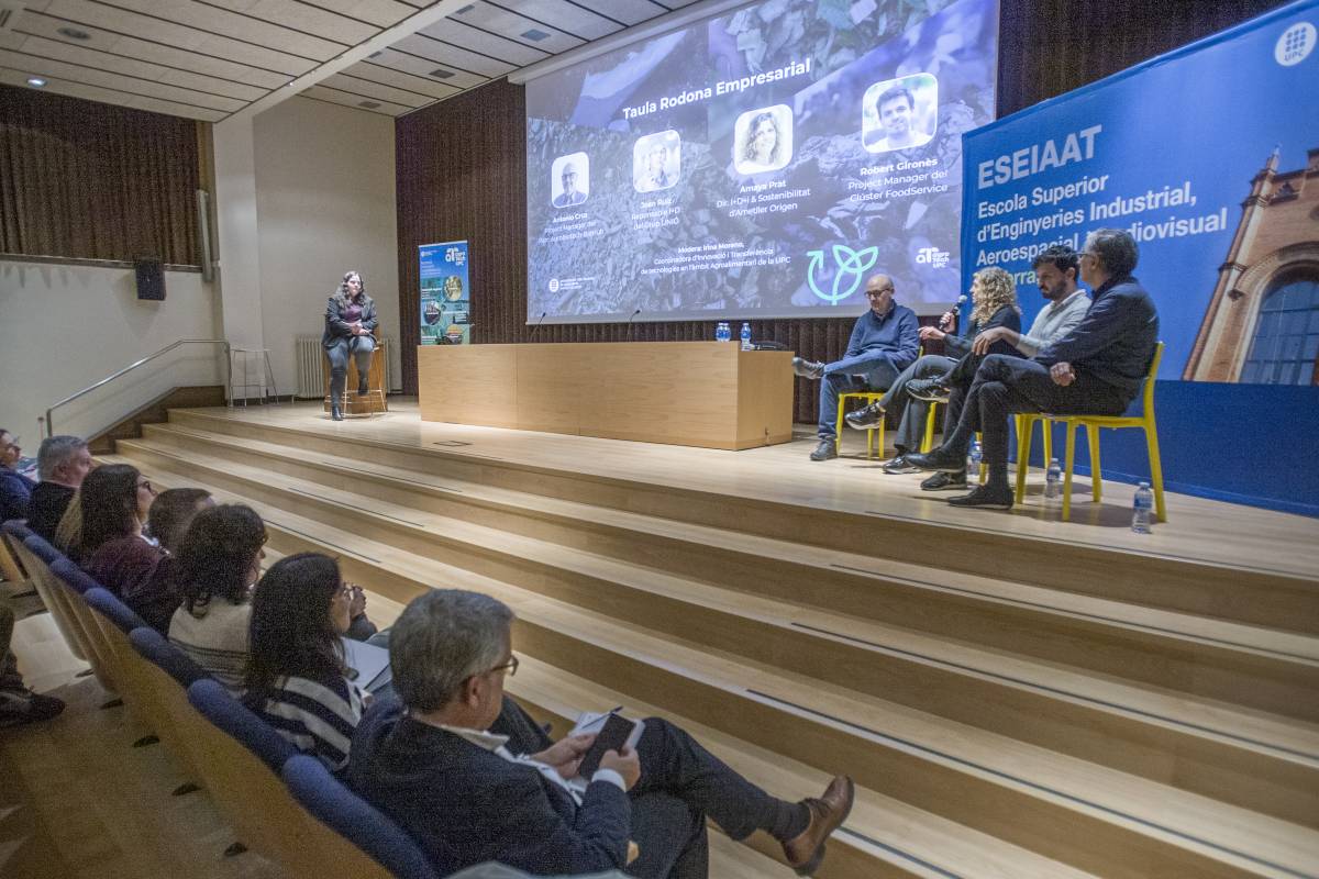 De residus a recursos: canyes de gira-sol com aïllant, 'plàstics' biodegradables o CO2 per als cultius