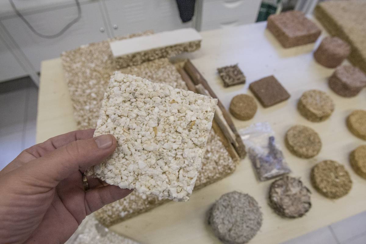 Una mostra de SavasCo i BioSafe - 