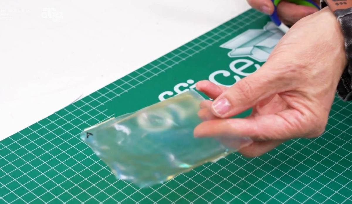 Una mostra de RevCan - 