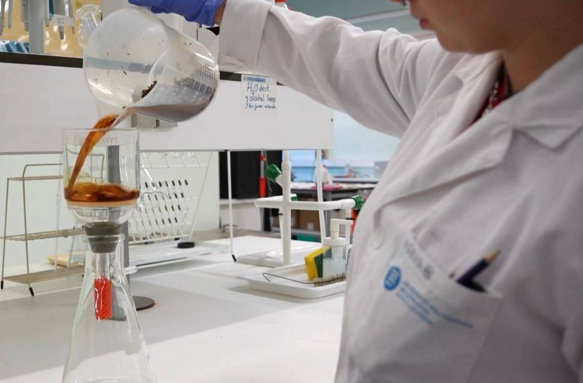 Una mostra de BioCholesteroid - 