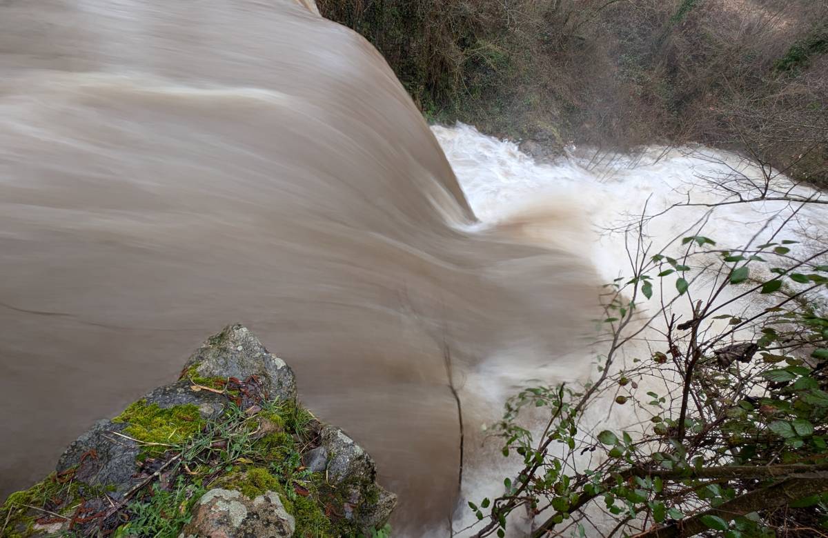 La riera Major a Viladrau - Emili Vilamala
