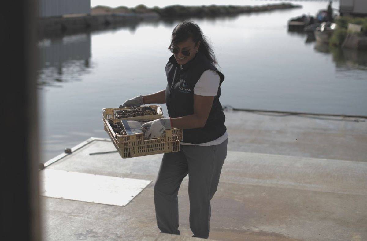 L`aqüicultura és una de les seues activitats, comercialitzant musclo i ostra.