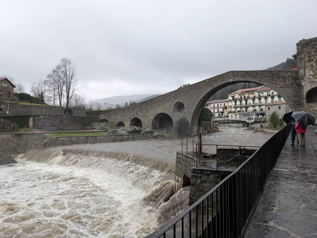 Cedida per Daniel Rodríguez