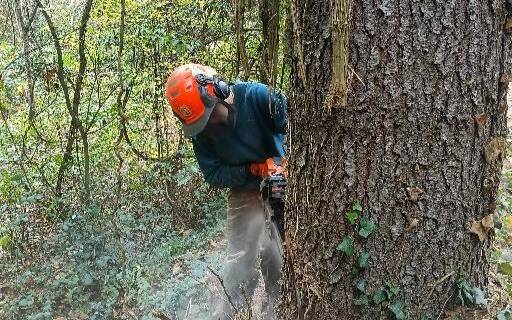 La Laia Vernet es dedica a l`aprofitament forestal.