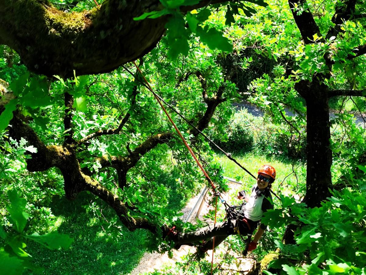 La Júlia es dedica a la gestió forestal.
