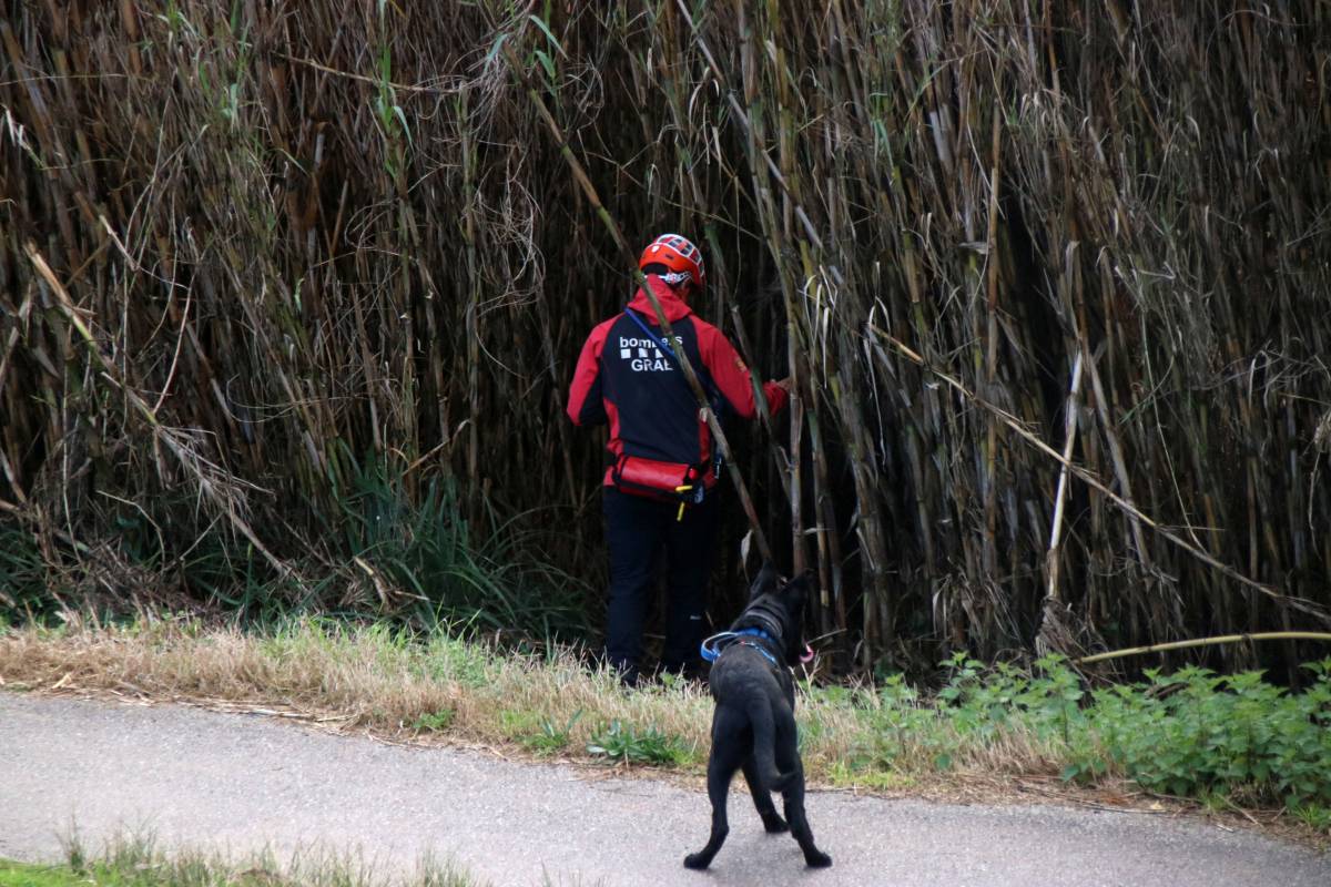 Tercer dia de recerca del conductor de la furgoneta arrossegada pel riu Mogent a Llinars del Vallès