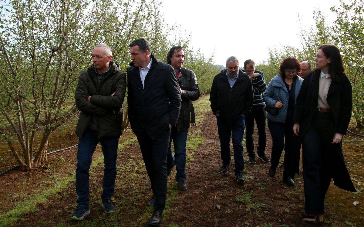 El Govern impulsa 25 mesures per potenciar el sector de l'avellana i reforçar la seva competitivitat