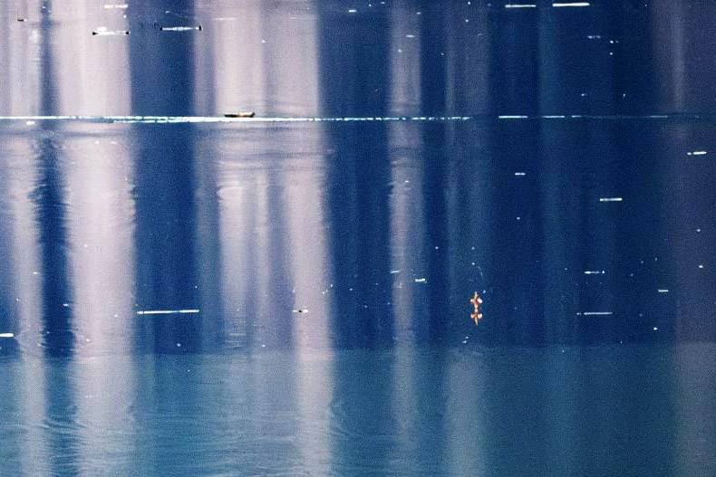 La imatge més esperada: el campanar de Sau, cobert d’aigua