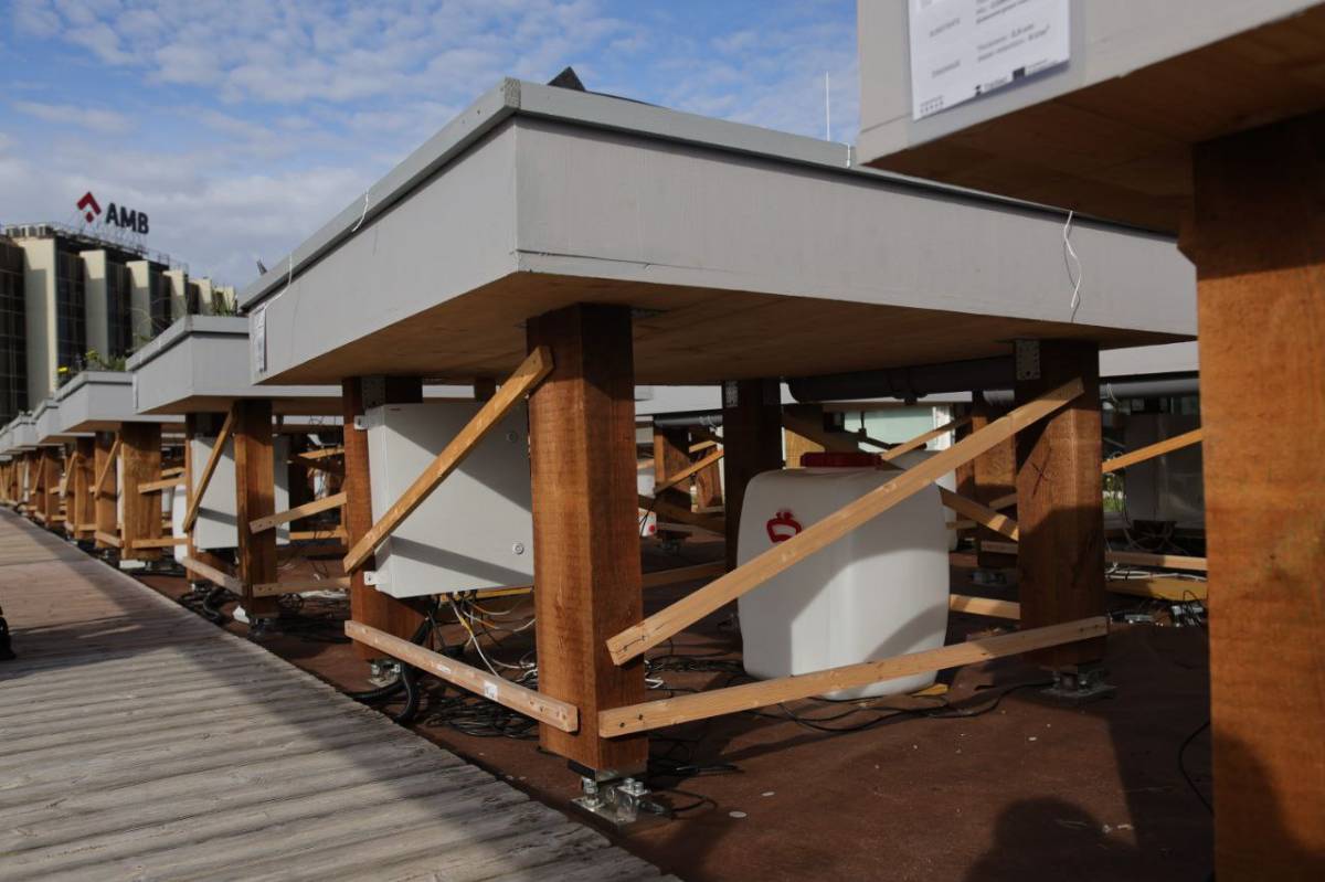 Les cobertes verdes són claus per l'adaptació al nou clima - Hugo Fernández